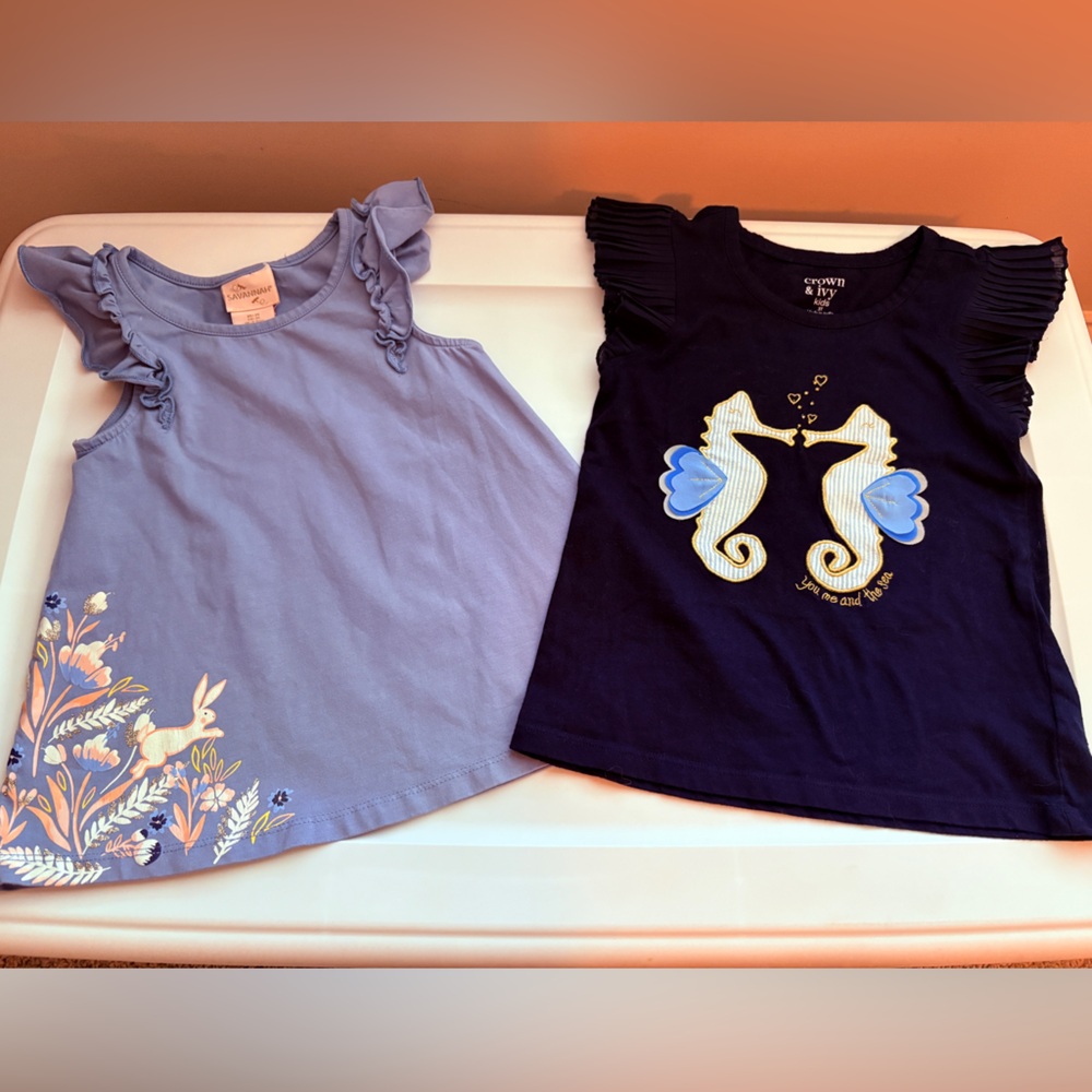 2 Ruffled Short Sleeve Shirts for Girl’s. Size 3T.